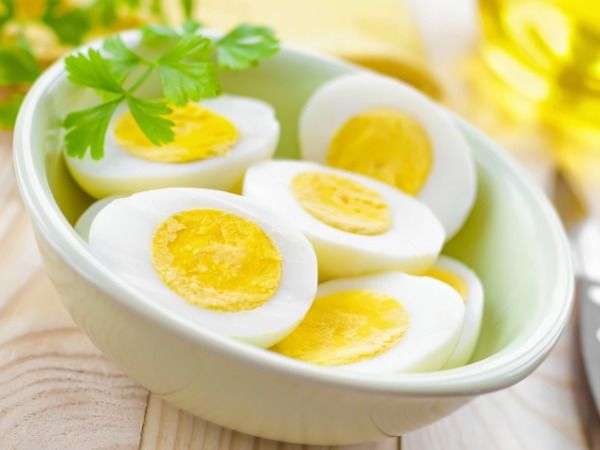yumurta-diyeti flatcast tema