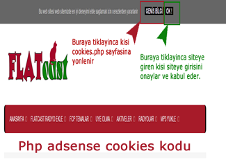 php-adsense-cookies-kodu flatcast tema